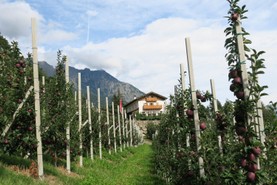 IMG_3940.JPG
