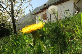 WinklerhofFrühling.JPG